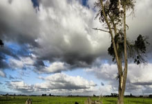 贵州恒丰对决大阪钢巴，赛场之上谁能称王？