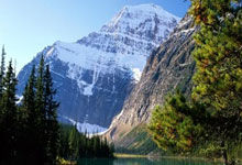 匈牙利队的闪耀之旅：场上展现的绝色与激情