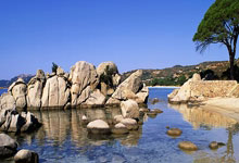 老鹰队斯廷主力误伤缺阵两周