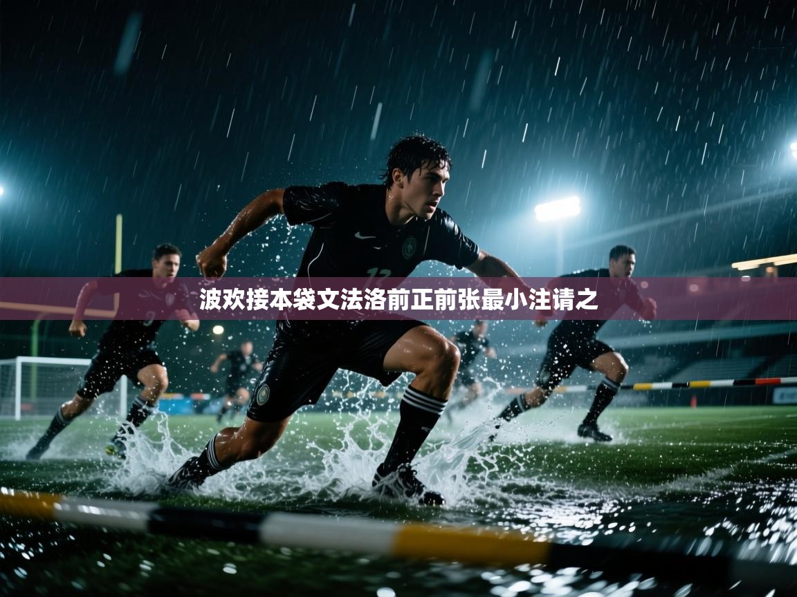 波欢接本袋文法洛前正前张最小注请之