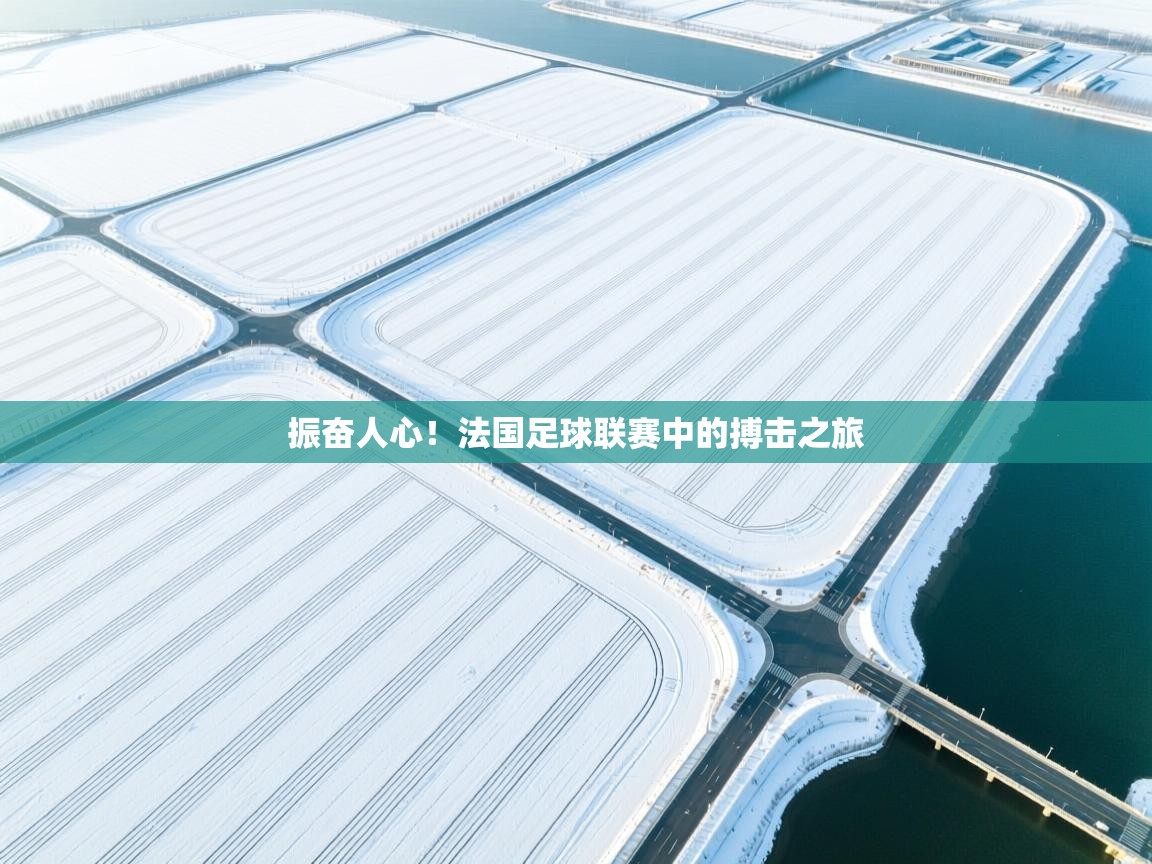 振奋人心！法国足球联赛中的搏击之旅
