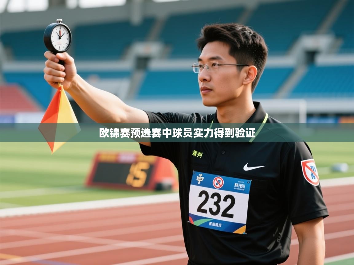 欧锦赛预选赛中球员实力得到验证  第1张