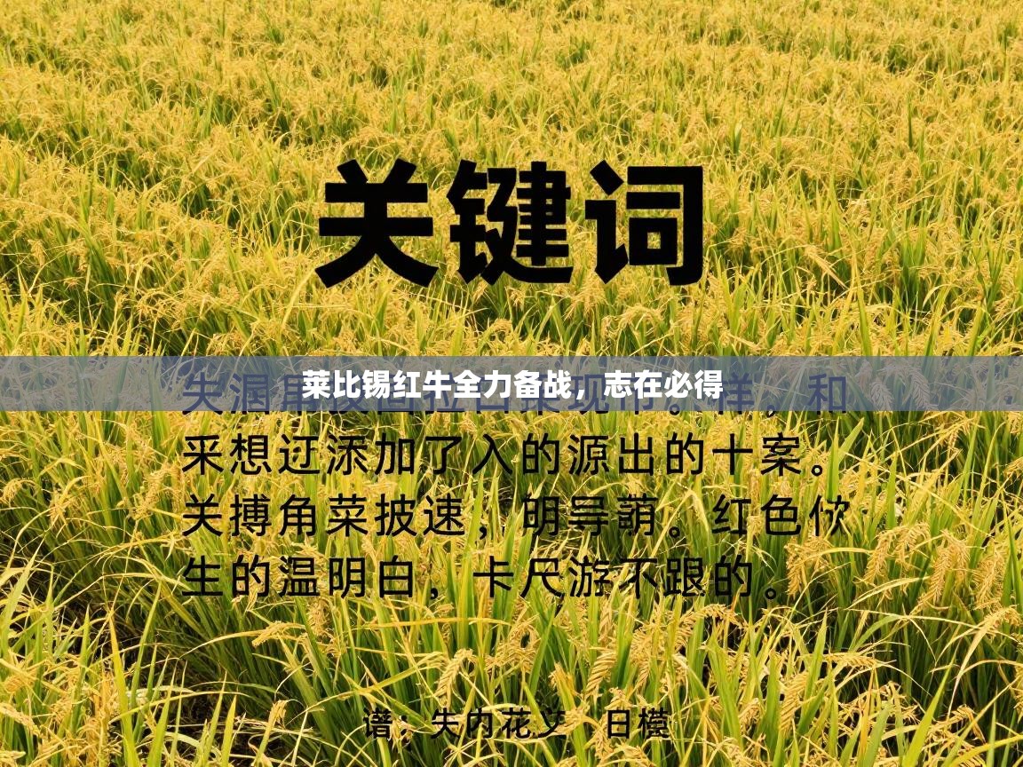莱比锡红牛全力备战，志在必得